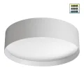 359600 NT Светильник 36Вт 3000/4000/6000К 220-240В IP20 OVER