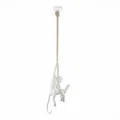 Детский светильник Evoluce SLE115103-01