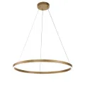 14001/1P Gold