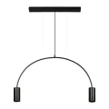 Подвесной светильник LOFT IT 5044-2