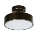 потолочный светильник 3060-2P