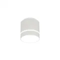 Накладной светильник Citilux CL745020N