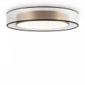 Потолочный светильник FR6005CL-L48G