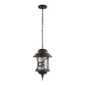 Подвесной уличный светильник LOFT IT 100021P