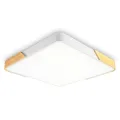 Накладной светильник Ambrella Light FZ1312