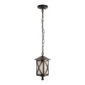 Подвесной уличный светильник LOFT IT 100016P