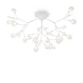 Потолочный светильник FR5049CL-36W1