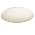 Потолочный светодиодный светильник Omnilux OML-43007-50
