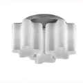 Накладная люстра ST-Luce SL117.502.03