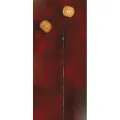 Торшер Lussole Bagheria LSF-6205-02