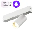 Светильник на шине Denkirs DK8010-WH