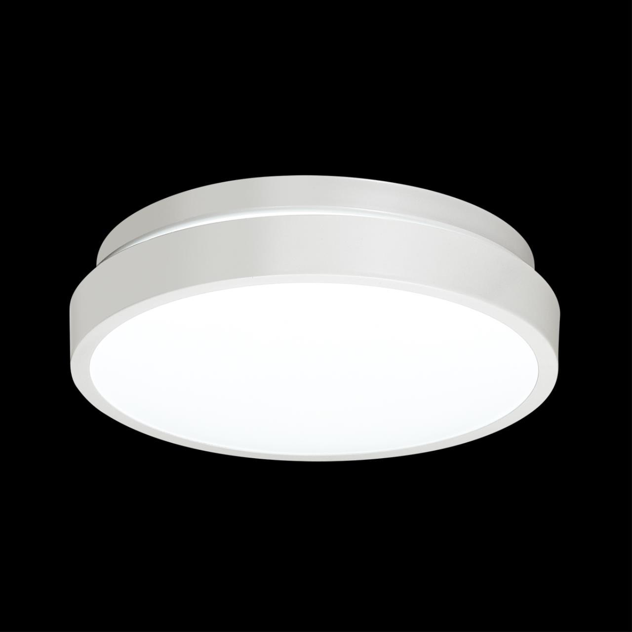 3014/AL MINI SN 206 Светильник пластик/белый LED 12Вт 4000K D200 IP43 SMALLI