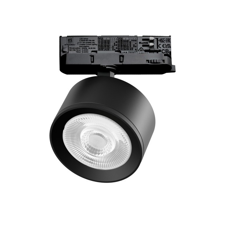 Светильник на шине Lightstar A5537QT60G
