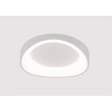Накладной светильник ARTE Lamp A2698PL-48WH