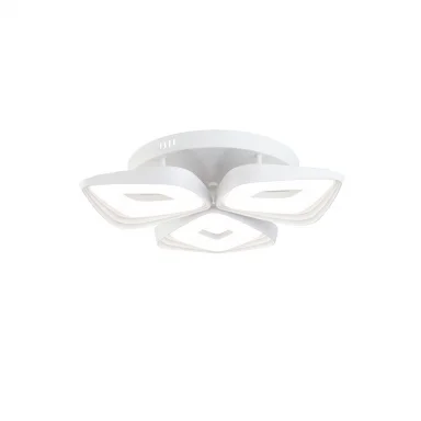 Потолочный светильник FR6008CL-L50W