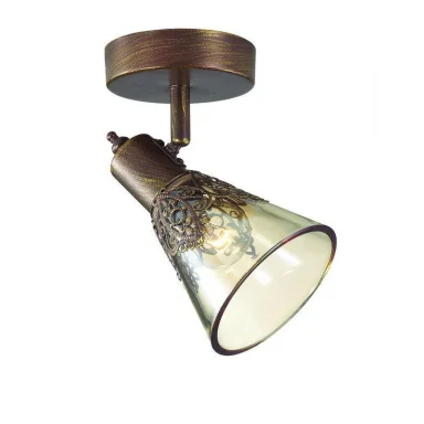 Спот Favourite Gumbata 1795-1W