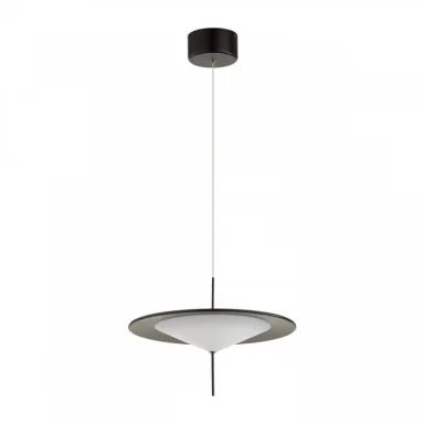 Подвесной светильник Odeon Light 5012/16L