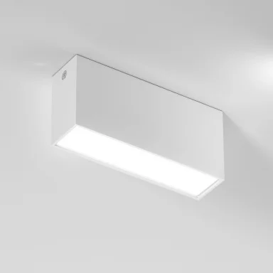 Накладной светильник Elektrostandard 25109/LED 10W 4000K белый