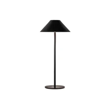 Настольная лампа Kink Light 07210-T,19