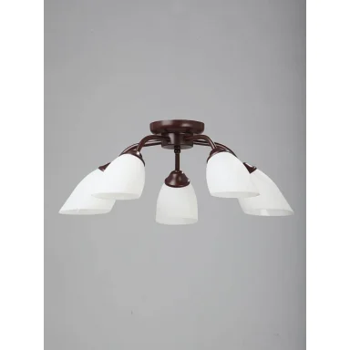 Потолочная люстра Vitaluce V3252/5PL