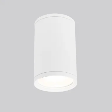 Накладной уличный светильник Elektrostandard Light 2101 (35128/H) белый