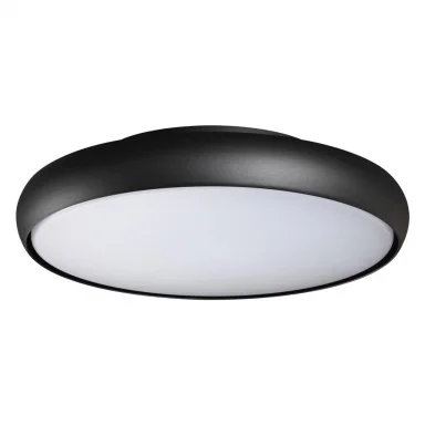 359289 STREET NT24 000 черный Светильник ландшафтный настенно-потолочный IP54 LED 32W 220-240V 4000K