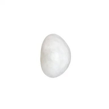 Бра Odeon Light 6684/5WL