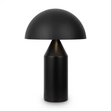 Настольныйсветильник FR5218TL-02B1
