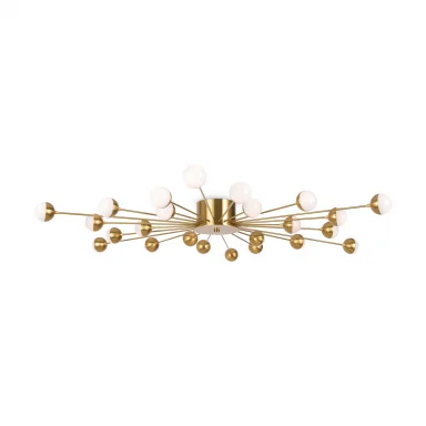 Потолочныйсветильник FR5242CL-24BS