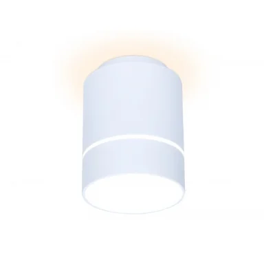 Накладной светильник Ambrella Light TN255