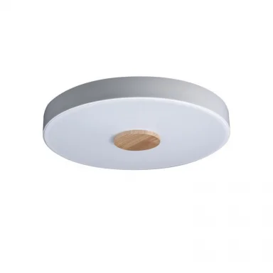 Накладной светильник LOFT IT 10003/24 White