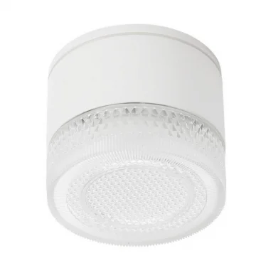 Уличный потолочный светильник Arte Lamp PIAUTOS A1926PF-1WH