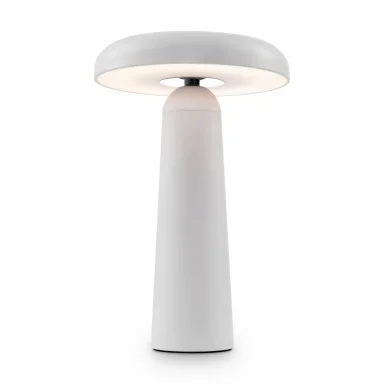 Аккумуляторный светильник FR6109TL-L4W