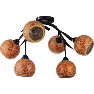 Потолочная люстра Lussole Bagheria LSF-6213-06