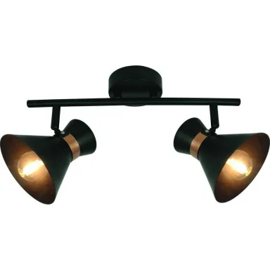 Спот ARTE Lamp A1406AP-2BK