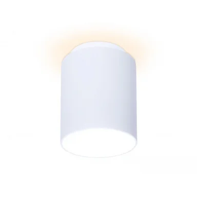 Накладной светильник Ambrella Light TN260