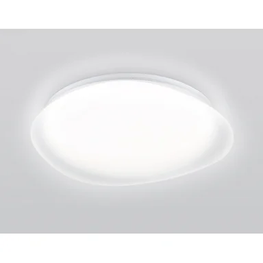 Накладной светильник Ambrella Light FZ1610