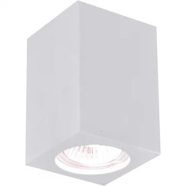 Накладной светильник ARTE Lamp A9264PL-1WH