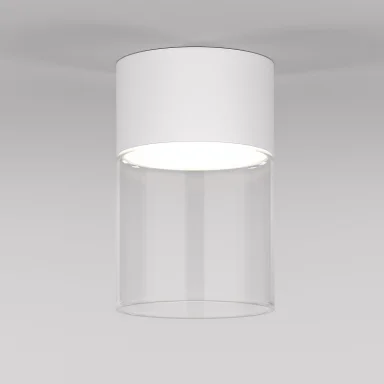 Накладной светильник Elektrostandard 25047/LED 10W 4000К белый/прозрачный