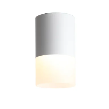 ST100.502.10 Светильник потолочный Белый LED 1*10W 3000K 780Lm Ra>80 120° D78xH135 170-240V