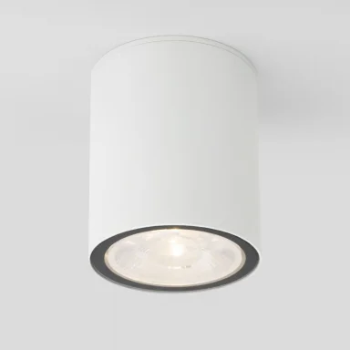 Накладной уличный светильник Elektrostandard Light LED 2103 (35131/H) белый