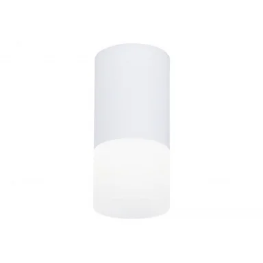 Накладной светильник Ambrella Light TN231