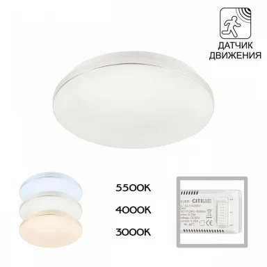 Накладной светильник Citilux CL71424SV