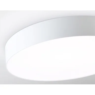 Накладной светильник Ambrella Light FZ1355