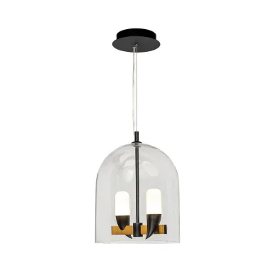 Подвесная светодиодная люстра Loft IT Whisper 1028-2BL