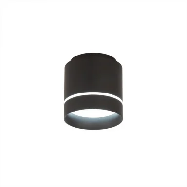 Накладной светильник Citilux CL745021N