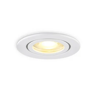 Влагозащищенный светильник Ambrella Light TN1150