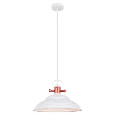 Подвесной светильник Lussole Loft GRLSP-9815