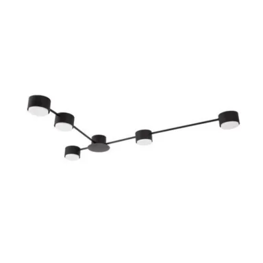 Накладная люстра ARTE Lamp A1527PL-5BK