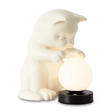 Настольный светильник FR5607TL-01W